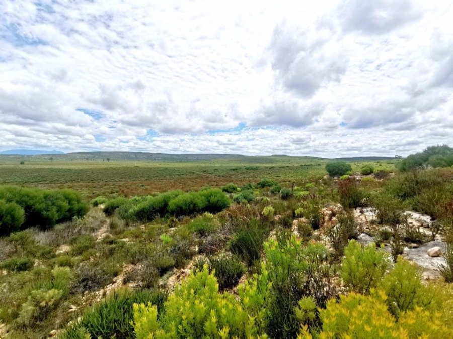 0 Bedroom Property for Sale in Riversdale Rural Western Cape